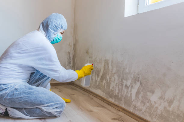 Mold inspector in Westfield performing thermal imaging